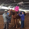 2016年2月20日~21日　『乗馬療育』実践研修会  ~北海道で馬と人を感じ、考える 2 日間!~　を開催します