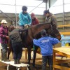 2016年2月20日（土）〜21日（日）浦河町にて『乗馬療育』実践研修会～北海道で馬と人を感じ、考える2日間～をおこないました