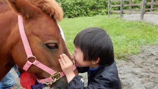 【満員御礼】2017年2月11日（祝・土）　馬は理想のセラピスト＠東京国際フォーラムを開催します！